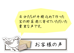 お客様の声 自分たちが丹精こめて作った宝の野菜達に寄せていただいた貴重な声です。