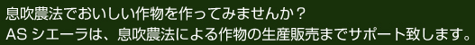 息吹農法で美味しい作物を作ってみませんか?ASシエーラは、息吹農法による作物の生産販売までサポート致します。